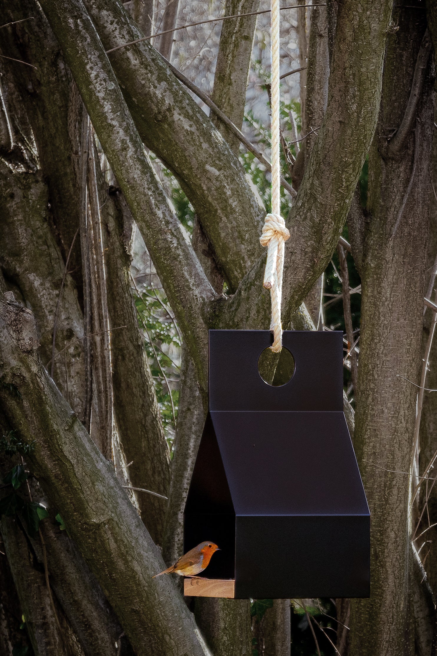 FLY! Ein Rotkehlchen holt sich etwas Futter aus deinem hängenden Vogelhaus aus Holz und schwarzem Metall. Du wirst große Freude am modernen Design und der Funktionalität haben und dich der Natur stark verbunden fühlen. Tier- und Designliebe stehen sich beim Vogelhaus FLY! ganz nah. Modern und hochwertig verarbeitet, gestaltet im dänischen Design.