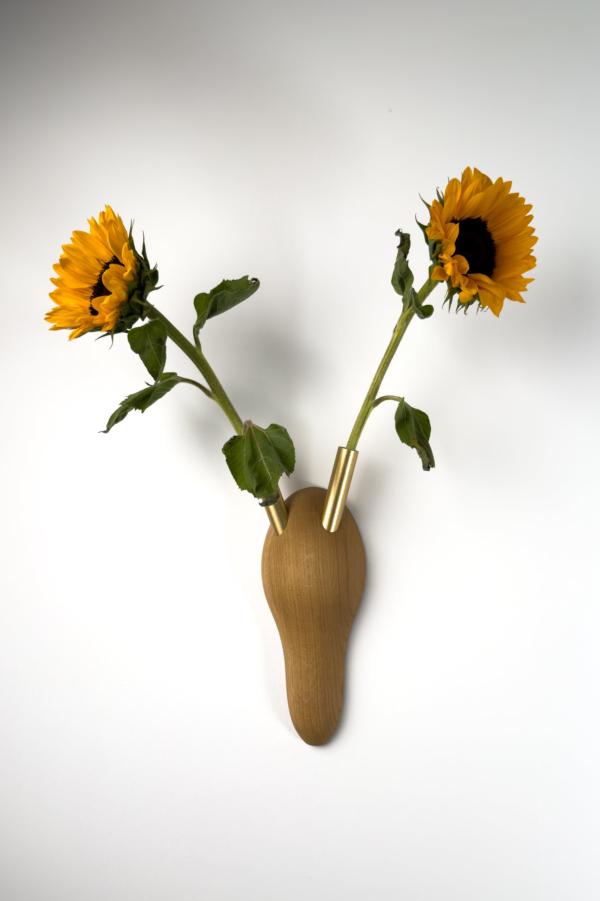 RESPECT! Ist unsere vegane Chalet-Style-Dekoration in Geweihform. Die dargestellte Variante in Eiche mit goldfarbenen Vasenröhrchen hält zwei Sonnenblumen.